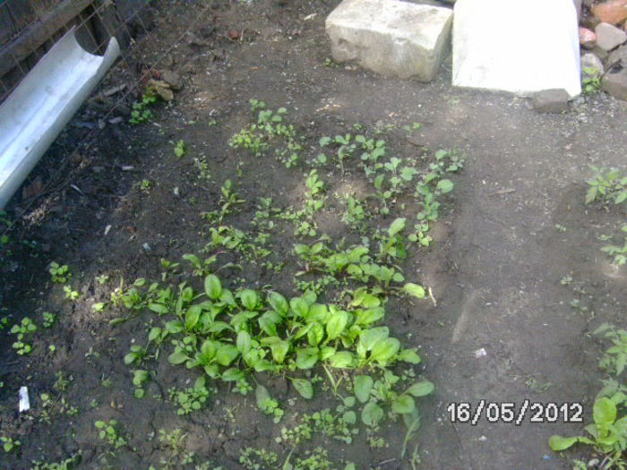 BILD0042