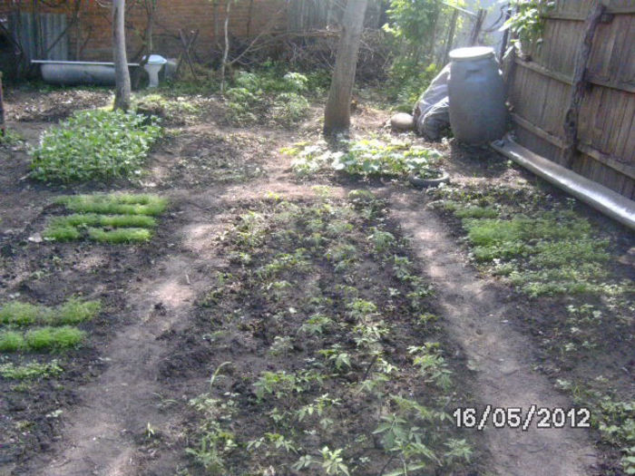 BILD0043