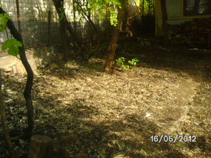 BILD0044