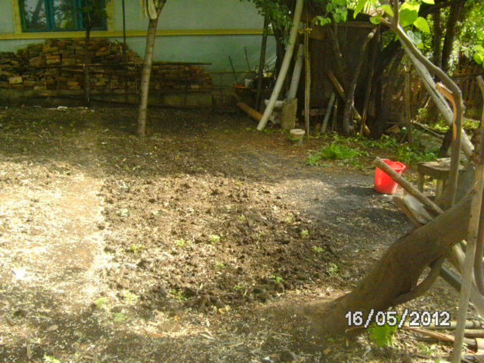 BILD0045