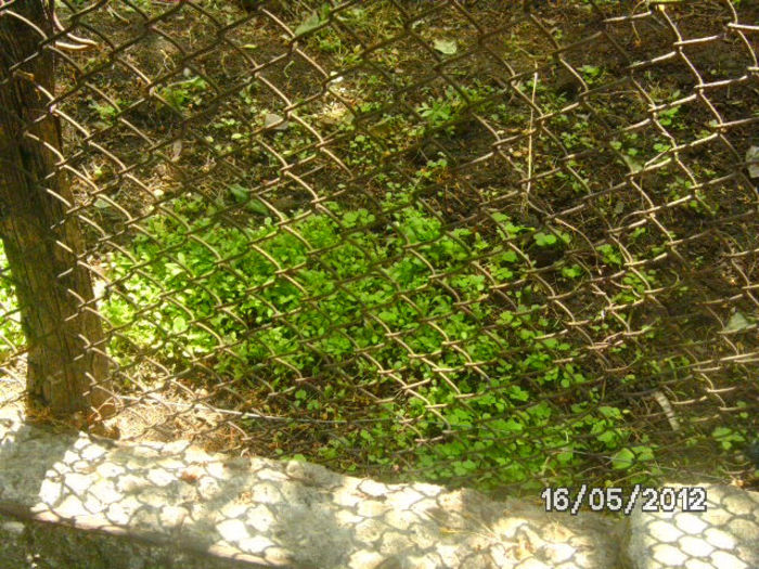 BILD0049