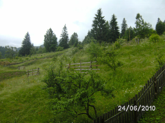 BILD6222 - romania pitoreasca