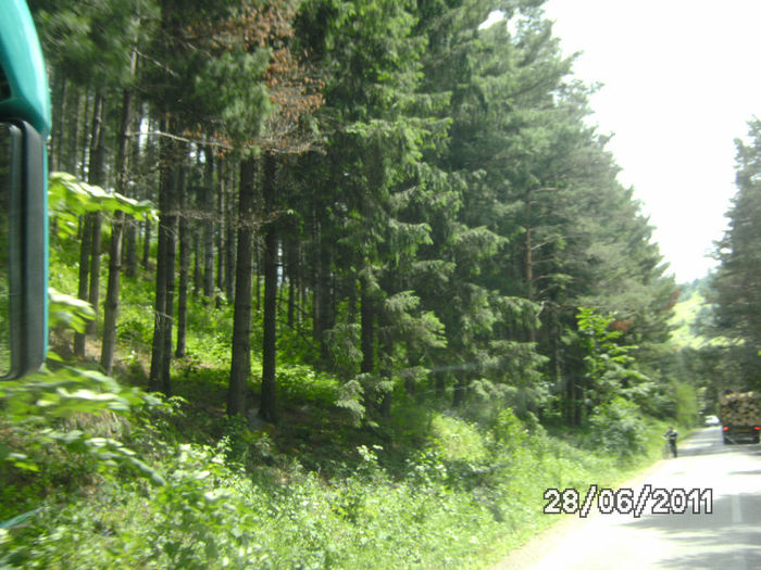 BILD6690 - romania pitoreasca