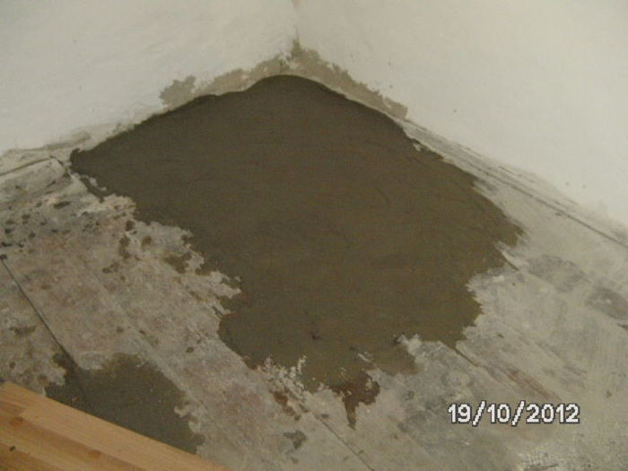 BILD0800 - celelalte cuvinte