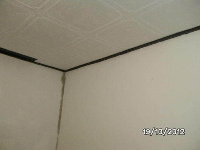 BILD0805 - celelalte cuvinte
