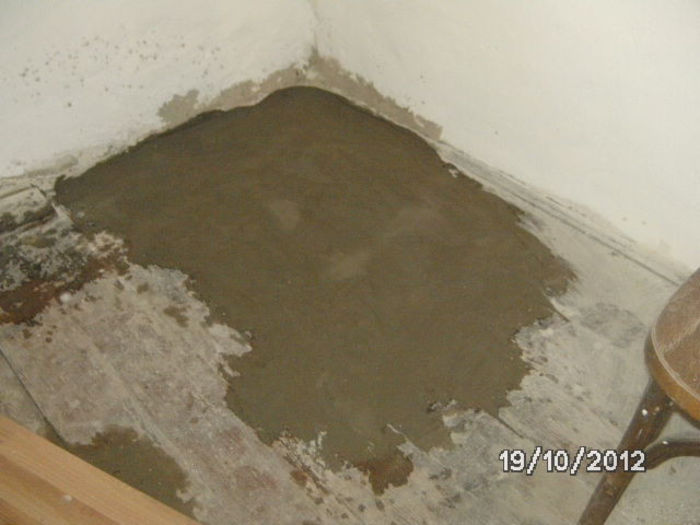 BILD0807 - celelalte cuvinte