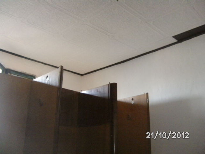 BILD0811 - celelalte cuvinte
