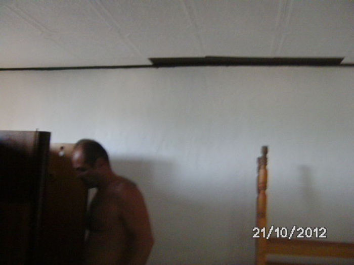 BILD0815 - celelalte cuvinte