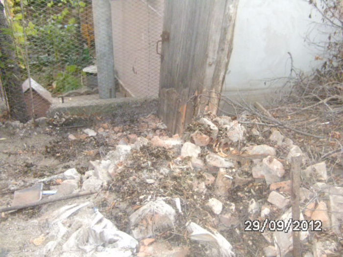 BILD0672 - celelalte cuvinte