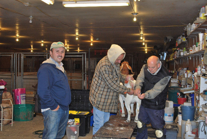 DSC_0035 - Vizita Ferma Boer Indiana SUA