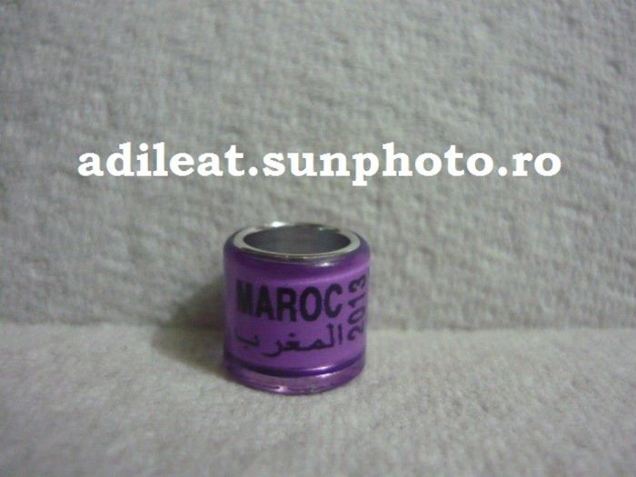 MAROC-2013 - MAROC-ring collection