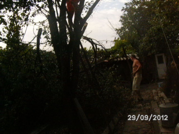 BILD0667