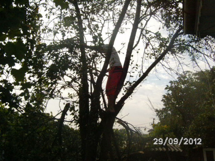 BILD0669