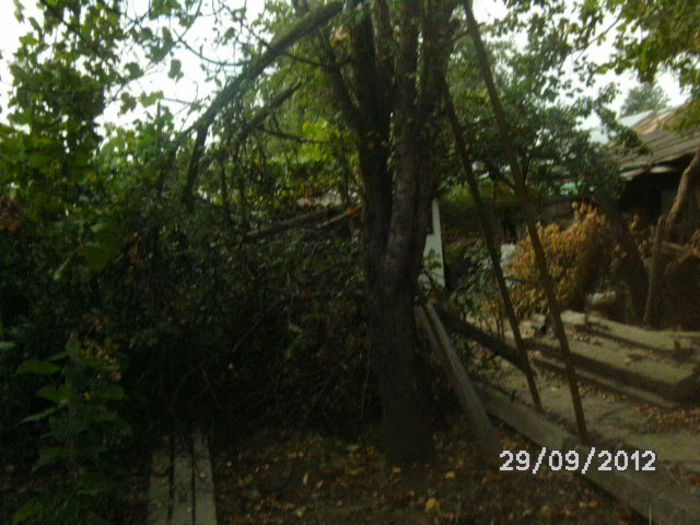 BILD0670