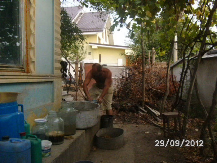 BILD0671
