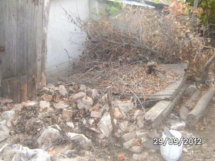 BILD0673