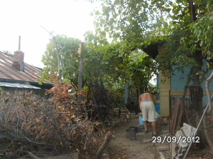BILD0675