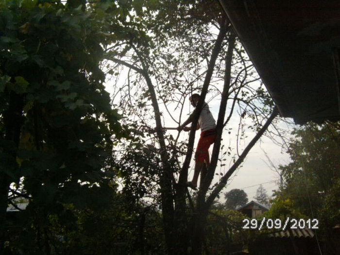BILD0676