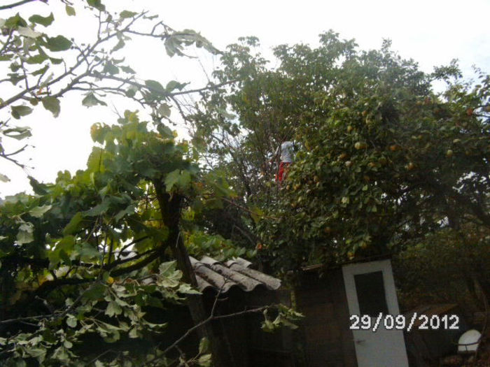 BILD0678