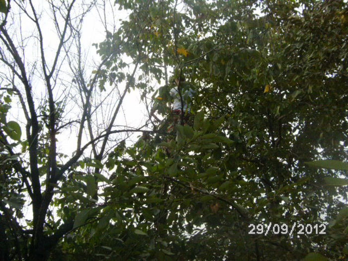 BILD0681