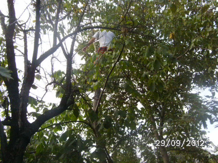 BILD0682