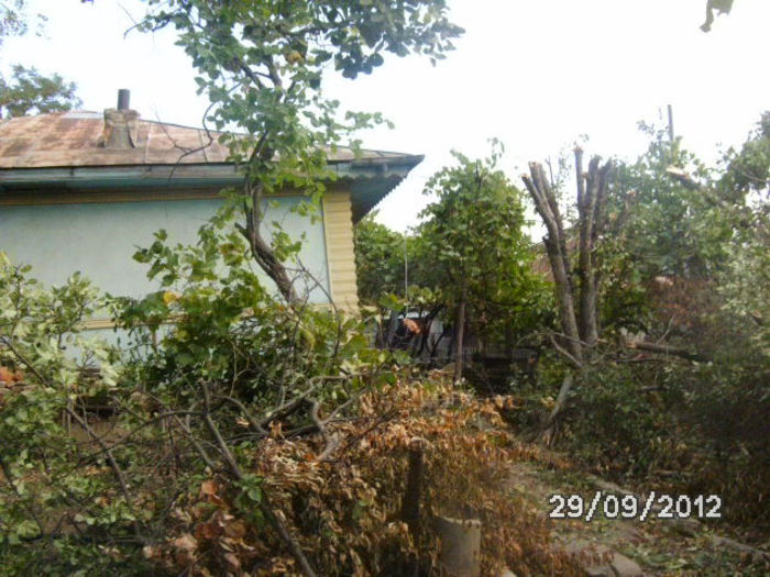 BILD0685