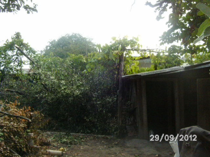 BILD0687