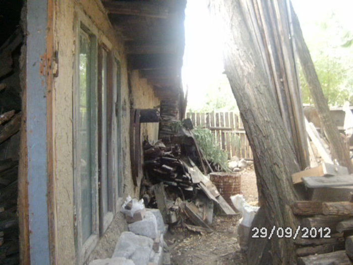 BILD0695