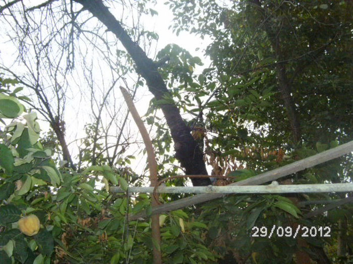 BILD0696