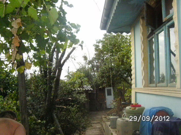 BILD0698