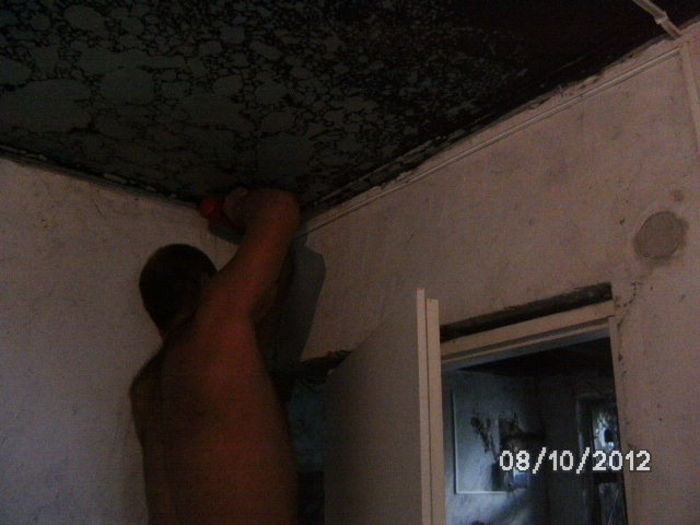 BILD0711