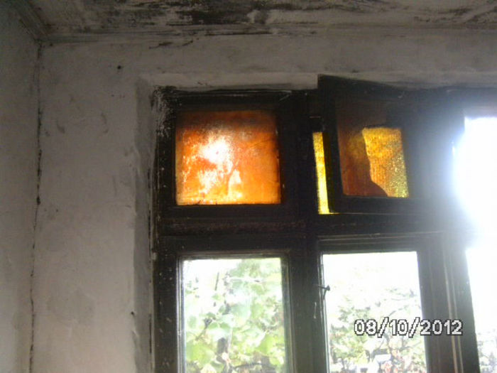 BILD0720