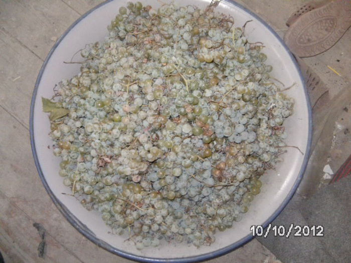 BILD0738