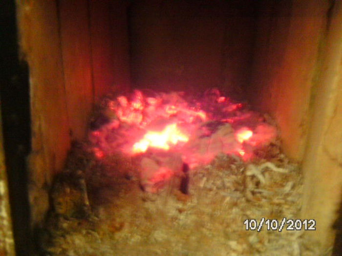 BILD0746
