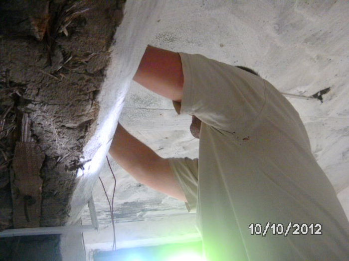 BILD0748