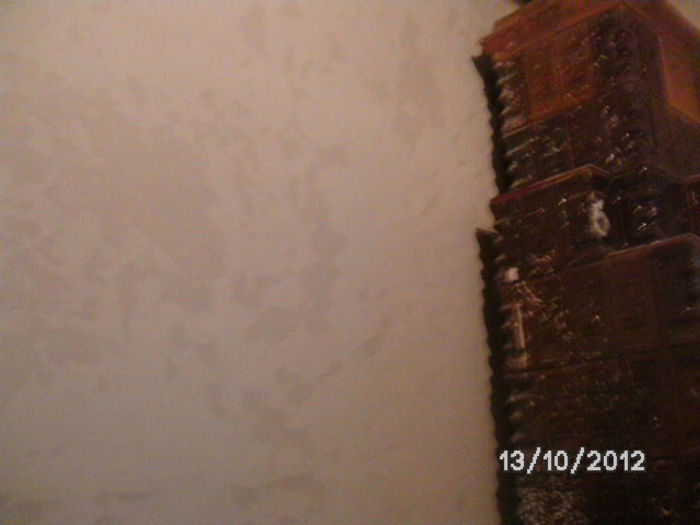 BILD0758