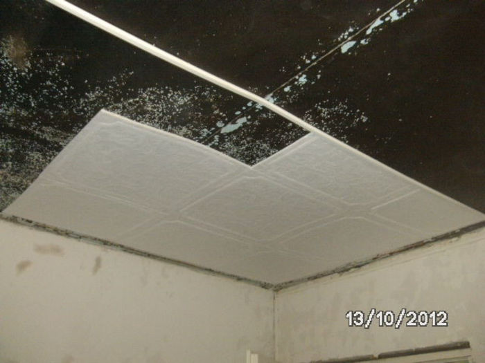 BILD0773 - celelalte cuvinte
