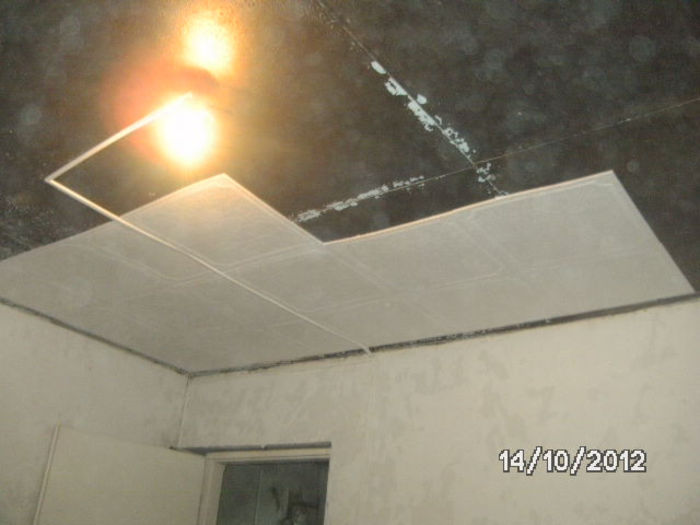 BILD0778
