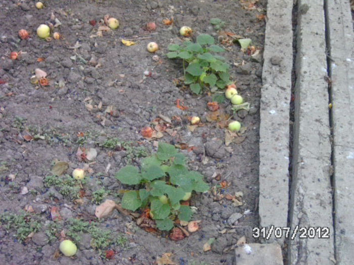 BILD0532