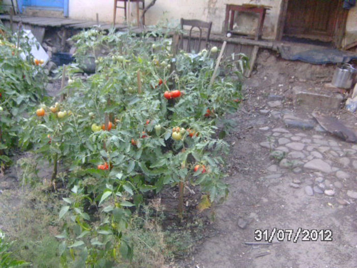 BILD0534
