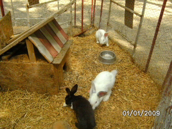 BILD0586
