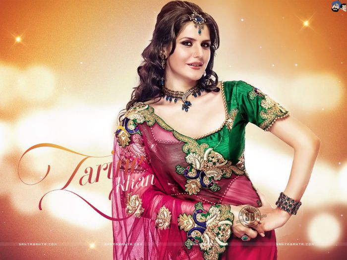 zarine-khan-4a