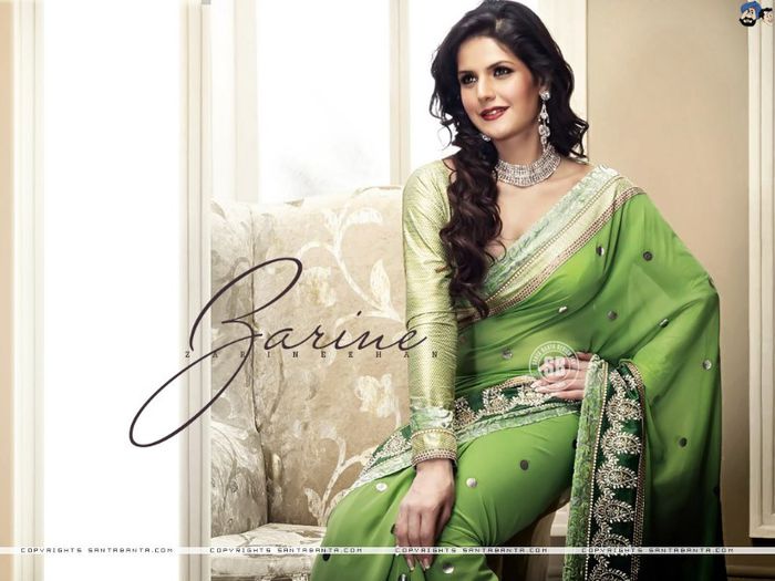 zarine-khan-3a