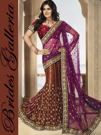 zarine-khan-in-saree-9853_LRG