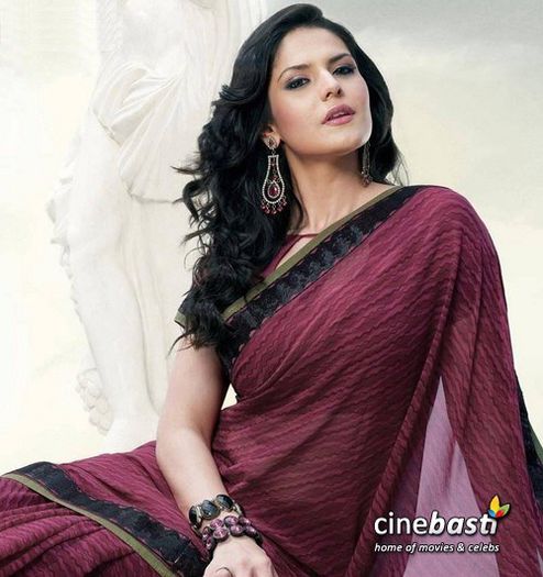 Zarine_Khan_Hot_Saree_Photoshoot_30