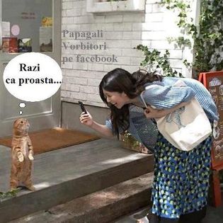 424483_402230293201829_277357582_n