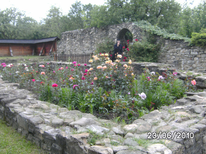 BILD0136