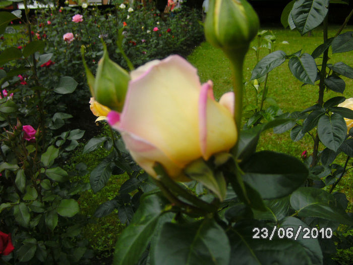 BILD0145