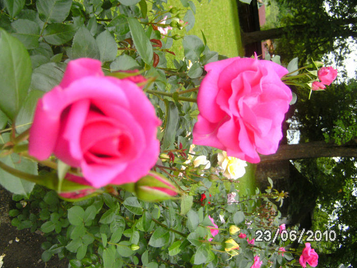 BILD0146