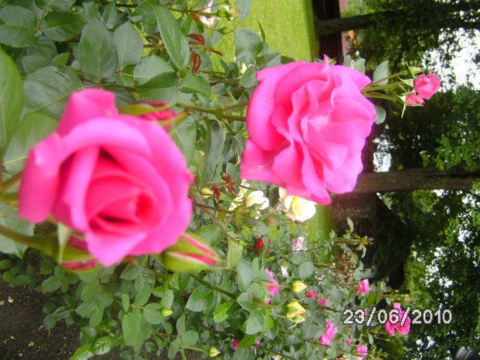 BILD0147